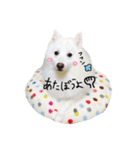おスピくんとひつじちゃん（個別スタンプ：13）
