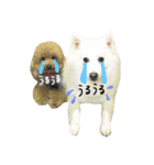 おスピくんとひつじちゃん（個別スタンプ：19）