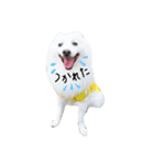 おスピくんとひつじちゃん（個別スタンプ：20）