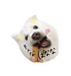 おスピくんとひつじちゃん（個別スタンプ：25）