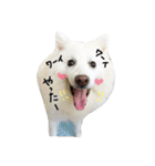 おスピくんとひつじちゃん（個別スタンプ：26）