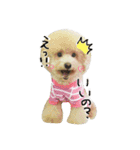 おスピくんとひつじちゃん（個別スタンプ：29）