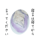 むくわれない人 Ver black（個別スタンプ：22）