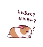 とんスタンプ（個別スタンプ：9）