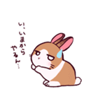 とんスタンプ（個別スタンプ：11）