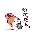 とんスタンプ（個別スタンプ：17）