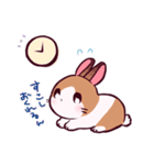 とんスタンプ（個別スタンプ：19）