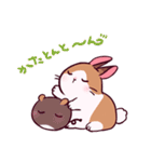 とんスタンプ（個別スタンプ：24）