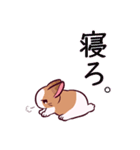 とんスタンプ（個別スタンプ：27）