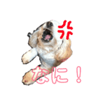 犬と猫との幸せな人生（個別スタンプ：5）