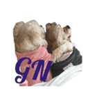 犬と猫との幸せな人生（個別スタンプ：16）
