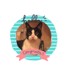 かんちゃ（個別スタンプ：5）