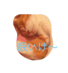 かんちゃ（個別スタンプ：6）