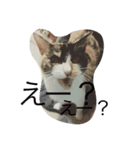 かんちゃ（個別スタンプ：7）