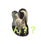 かんちゃ（個別スタンプ：8）