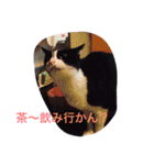 かんちゃ（個別スタンプ：9）