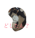 かんちゃ（個別スタンプ：10）