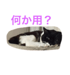 かんちゃ（個別スタンプ：11）