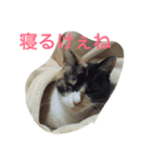 かんちゃ（個別スタンプ：13）