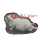 かんちゃ（個別スタンプ：19）
