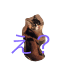 かんちゃ（個別スタンプ：20）