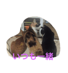 かんちゃ（個別スタンプ：22）