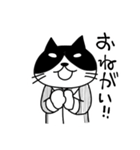 めりけん食い（個別スタンプ：12）