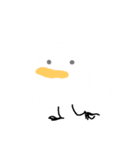 鳥っ子（個別スタンプ：1）