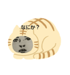ケンストア（個別スタンプ：6）