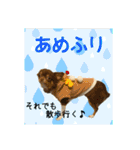 犬☆スタンプ・チワワ・ハスキー・フラット（個別スタンプ：10）
