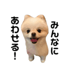 何個作んねん！あおいちゃん！！（個別スタンプ：1）