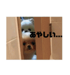 何個作んねん！あおいちゃん！！（個別スタンプ：3）