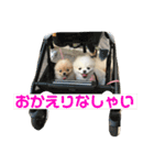 何個作んねん！あおいちゃん！！（個別スタンプ：5）