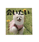 何個作んねん！あおいちゃん！！（個別スタンプ：9）