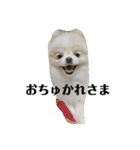 何個作んねん！あおいちゃん！！（個別スタンプ：10）
