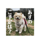 何個作んねん！あおいちゃん！！（個別スタンプ：11）