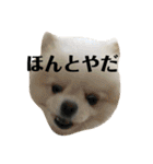 何個作んねん！あおいちゃん！！（個別スタンプ：12）