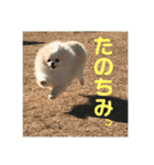 何個作んねん！あおいちゃん！！（個別スタンプ：18）