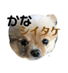 何個作んねん！あおいちゃん！！（個別スタンプ：19）