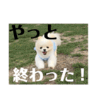 何個作んねん！あおいちゃん！！（個別スタンプ：20）