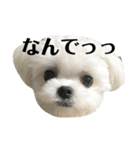 何個作んねん！あおいちゃん！！（個別スタンプ：23）