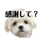 何個作んねん！あおいちゃん！！（個別スタンプ：30）
