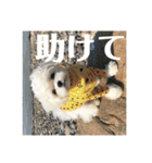 何個作んねん！あおいちゃん！！（個別スタンプ：32）