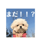 何個作んねん！あおいちゃん！！（個別スタンプ：34）