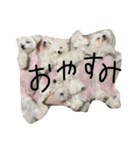 何個作んねん！あおいちゃん！！（個別スタンプ：37）