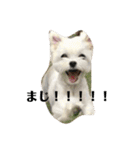 何個作んねん！あおいちゃん！！（個別スタンプ：38）
