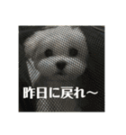 何個作んねん！あおいちゃん！！（個別スタンプ：39）