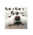 何個作んねん！あおいちゃん！！（個別スタンプ：40）