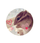 しまさん♡（個別スタンプ：2）