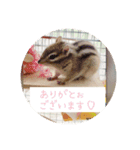 しまさん♡（個別スタンプ：5）